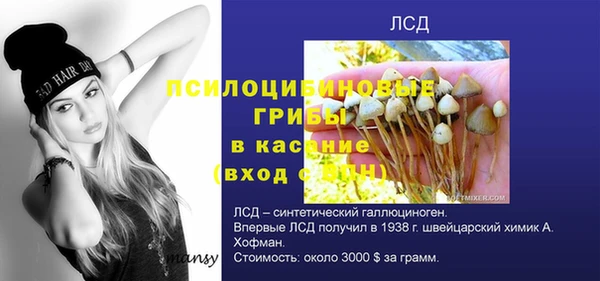 mdma Инсар