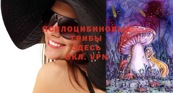 мяу мяу кристалл Иннополис