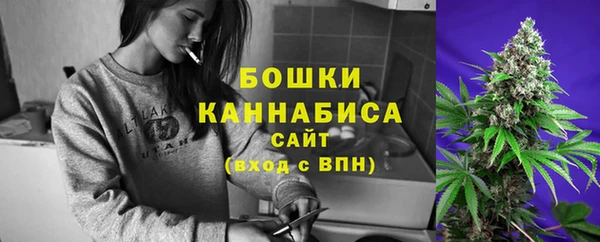 мяу мяу кристалл Иннополис