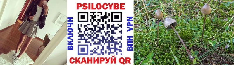 Псилоцибиновые грибы Cubensis  Купить  Игарка 