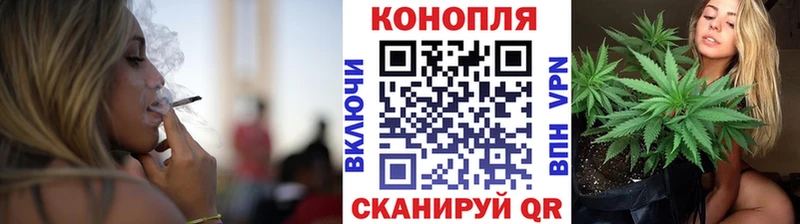 Конопля тримм  Купить закладки  Игарка 
